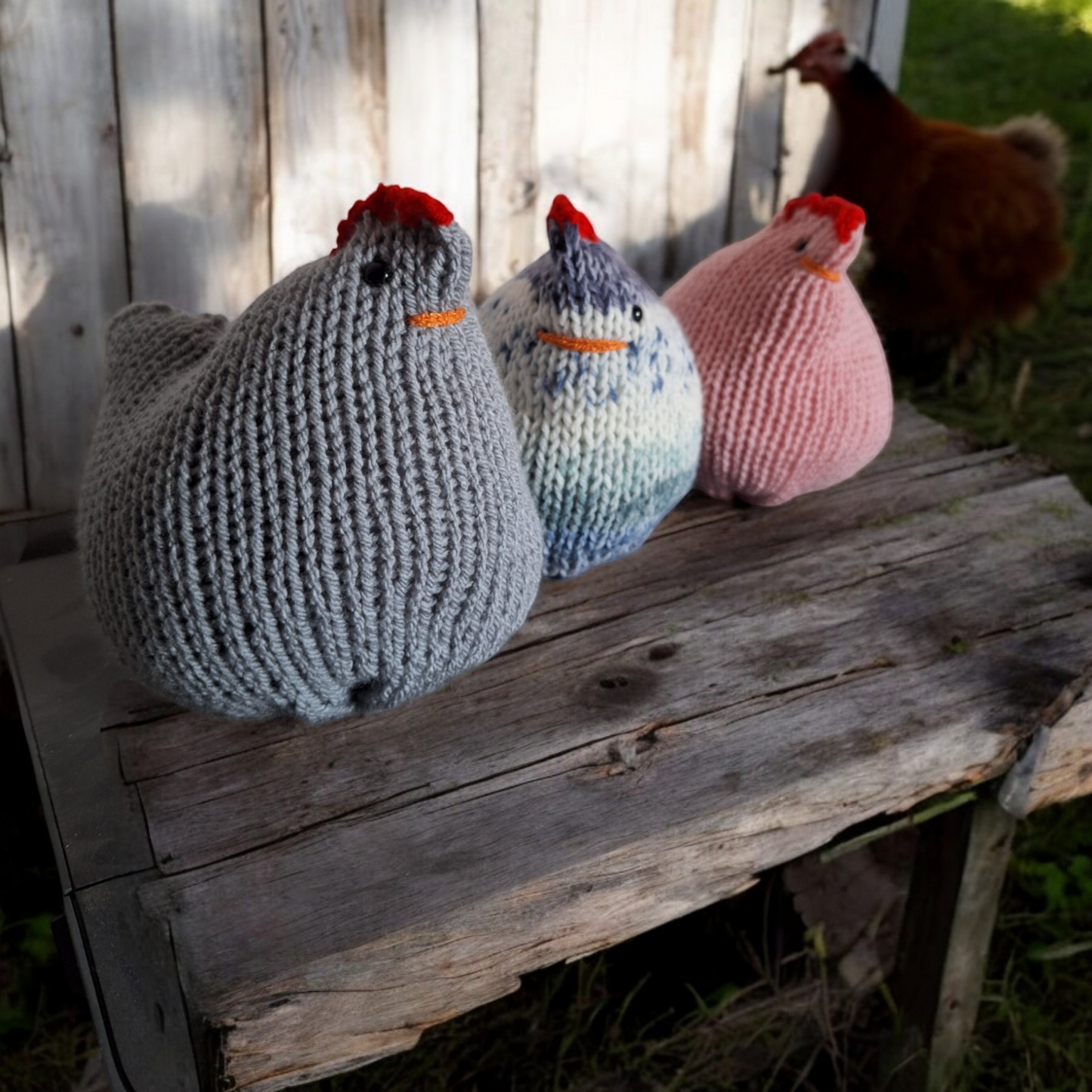 Kuschelhuhn